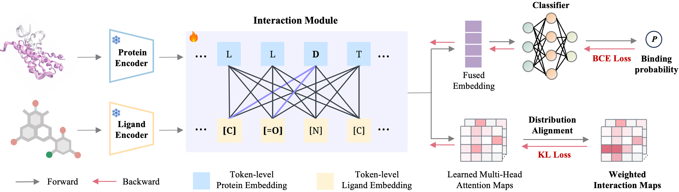 ExplainBind Framework